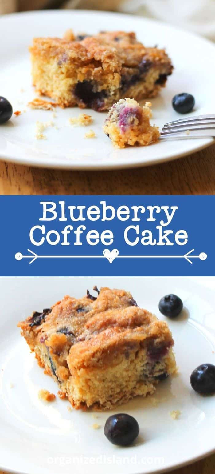 Best Blueberry Coffee Cak