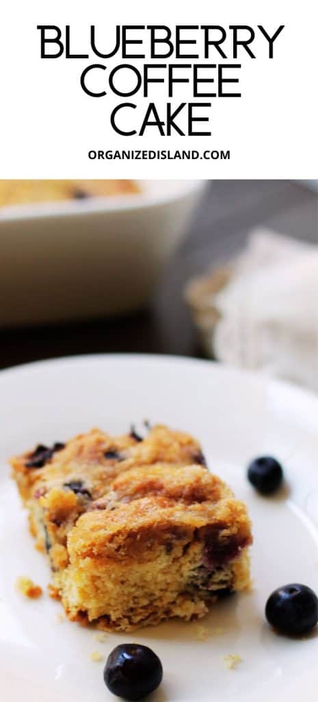Blueberry Coffee Cake with streusel on plate