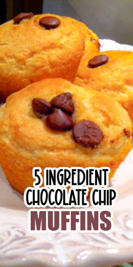 5 Ingredient Choc Chip Muffins