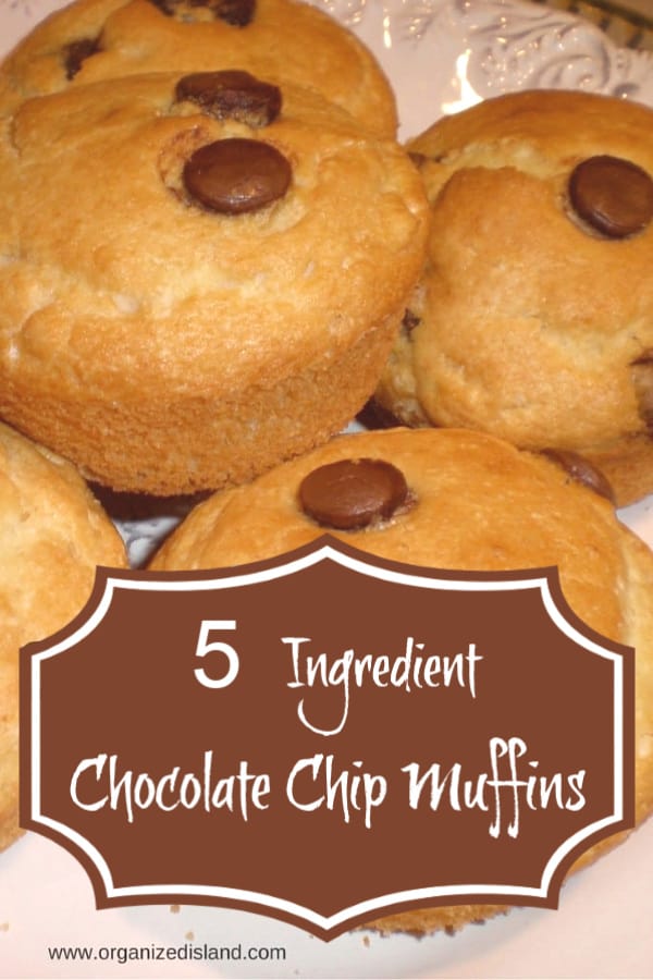 Easy Chocolate Chip Muffin Recipe 