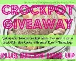 Crockpot giveaway and recipe link party
