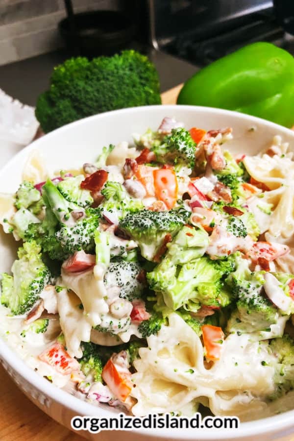 Pepper & Broccoli Pasta Salad
