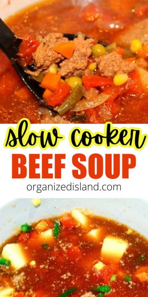 Slow cooker beef soup