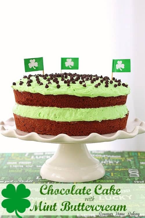chocolate-cake-with-mint-buttercream-recipe-roxanashomebaking-1.jpg