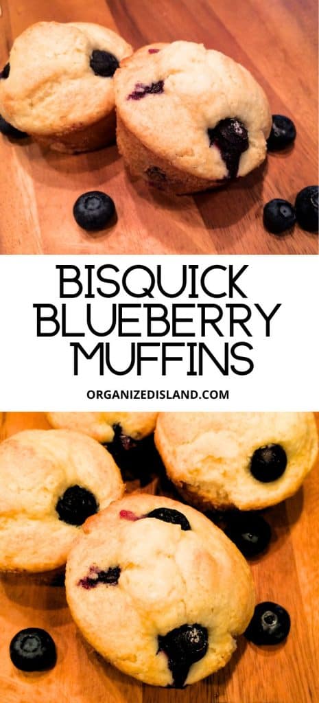 Bisquick Blueberry Muffins on board.
