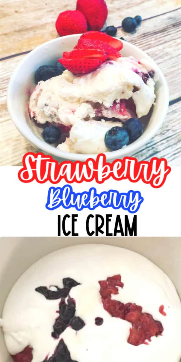 Strawberry and Blueberry Swirl Ice Cream