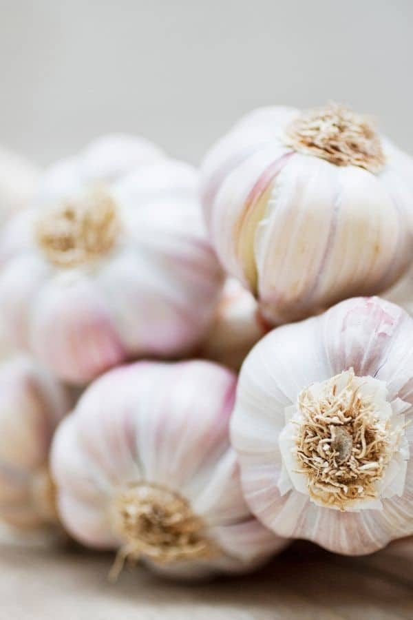 garlic for decor