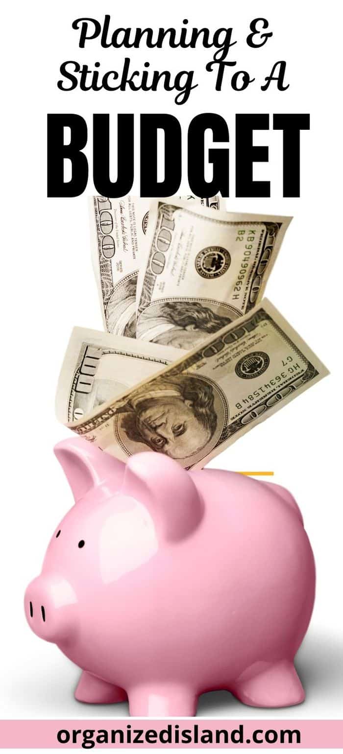 money in piggy bank