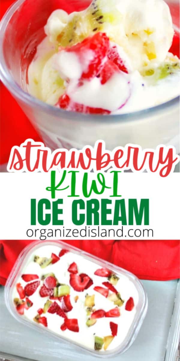 Strawberry Kiwi Ice CREAM