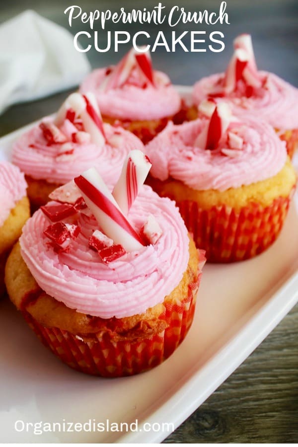 holiday peppermint cupcakes