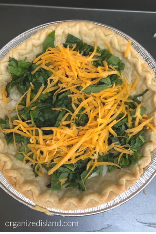 cheese and spinach in pie crust