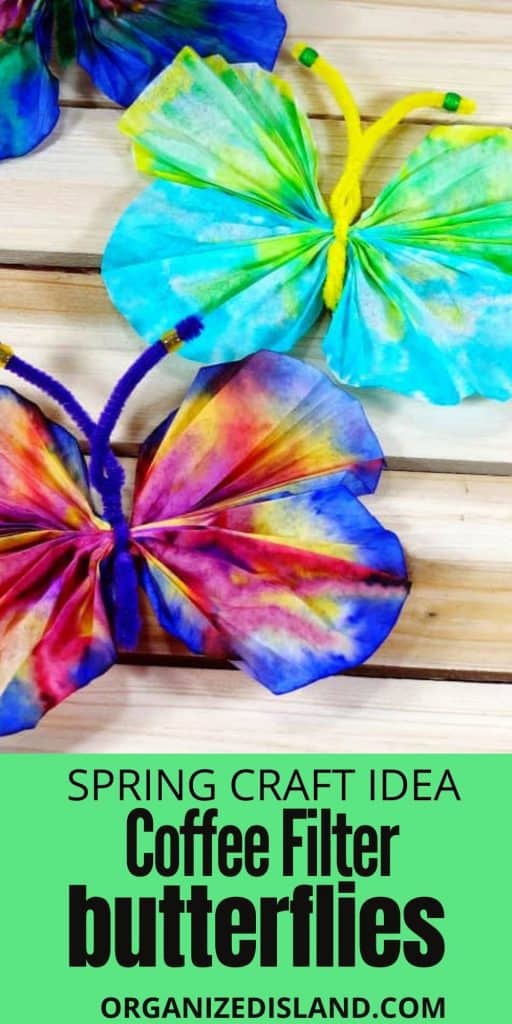 Coffee Filter Butterfly craft
