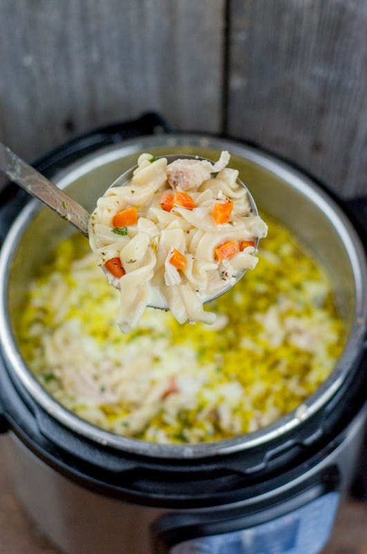 20+ Instant Pot & Slow Cooker Recipes for Fall - Homemade Chicken Noodle Soup for the Instant Pot