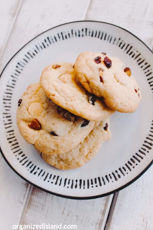 Cranberries and chocolate chip cookie recipe