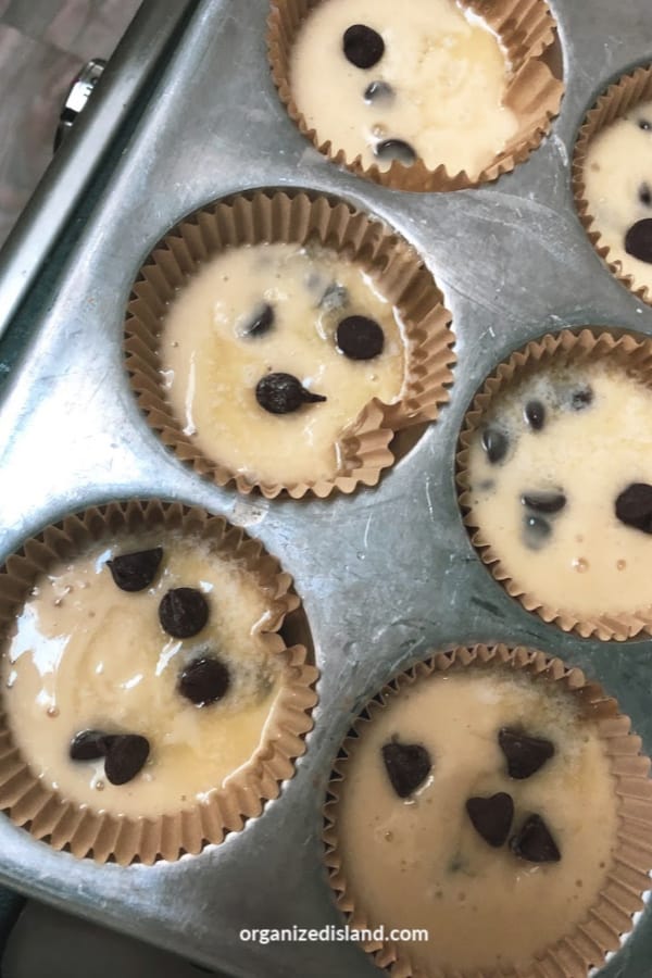 Chocolate Chip Muffin Batter