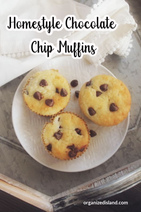 Homemade Chocolate Chip Muffins