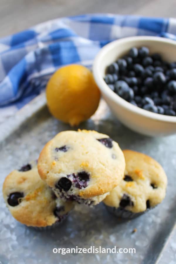 Easy blueberry muffins