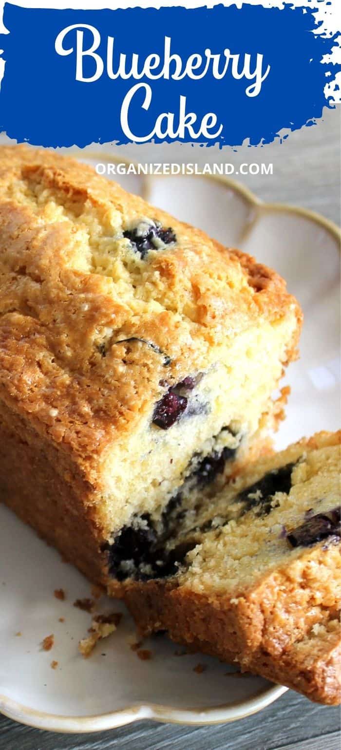 Simple Blueberry Cake on plate 