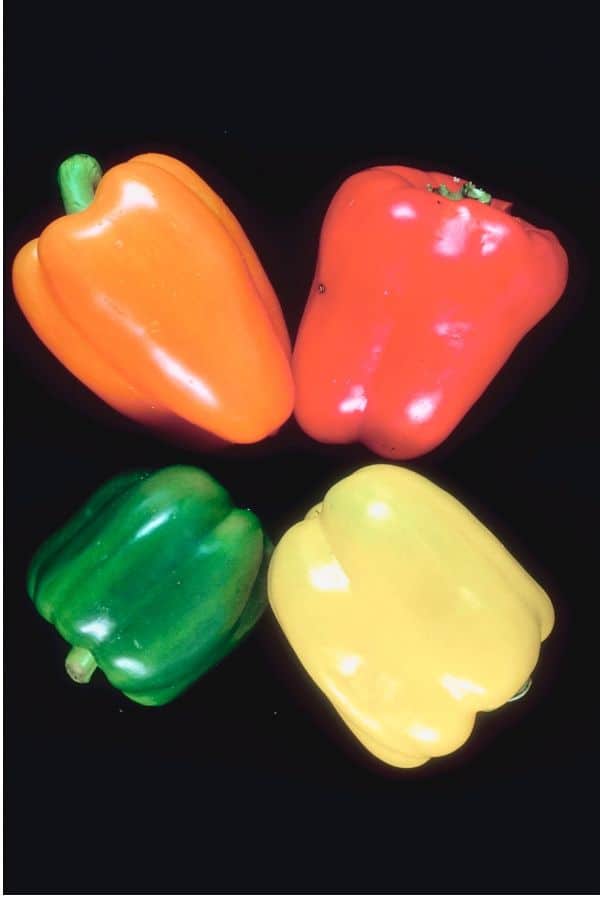 bell peppers in salad