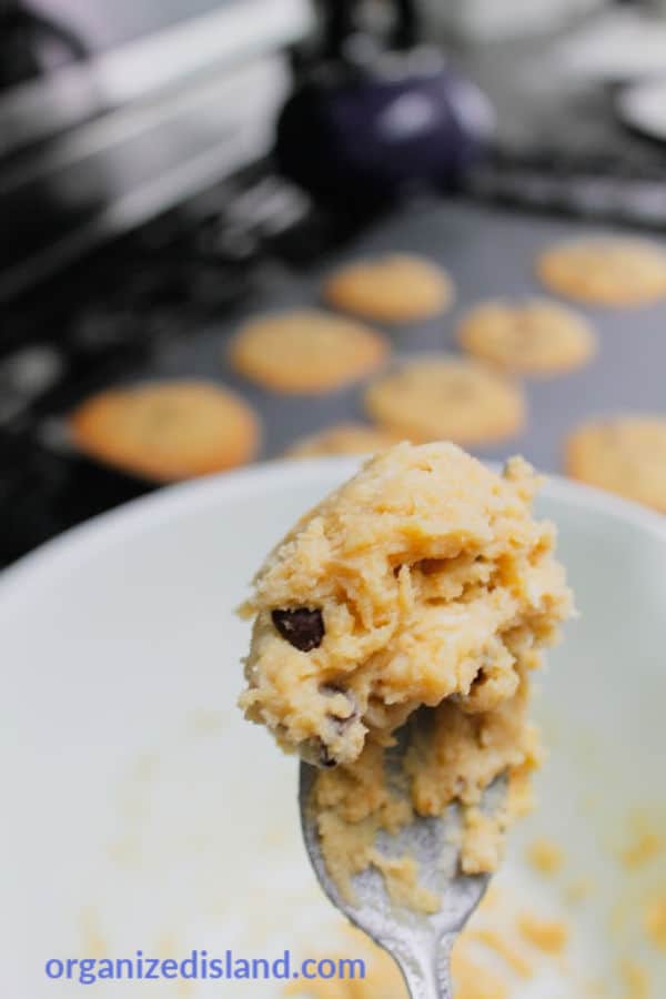 Chewy Chocolate Chip cookie dough