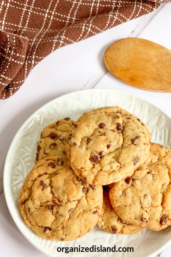 Soft chocolate Chip cookie
