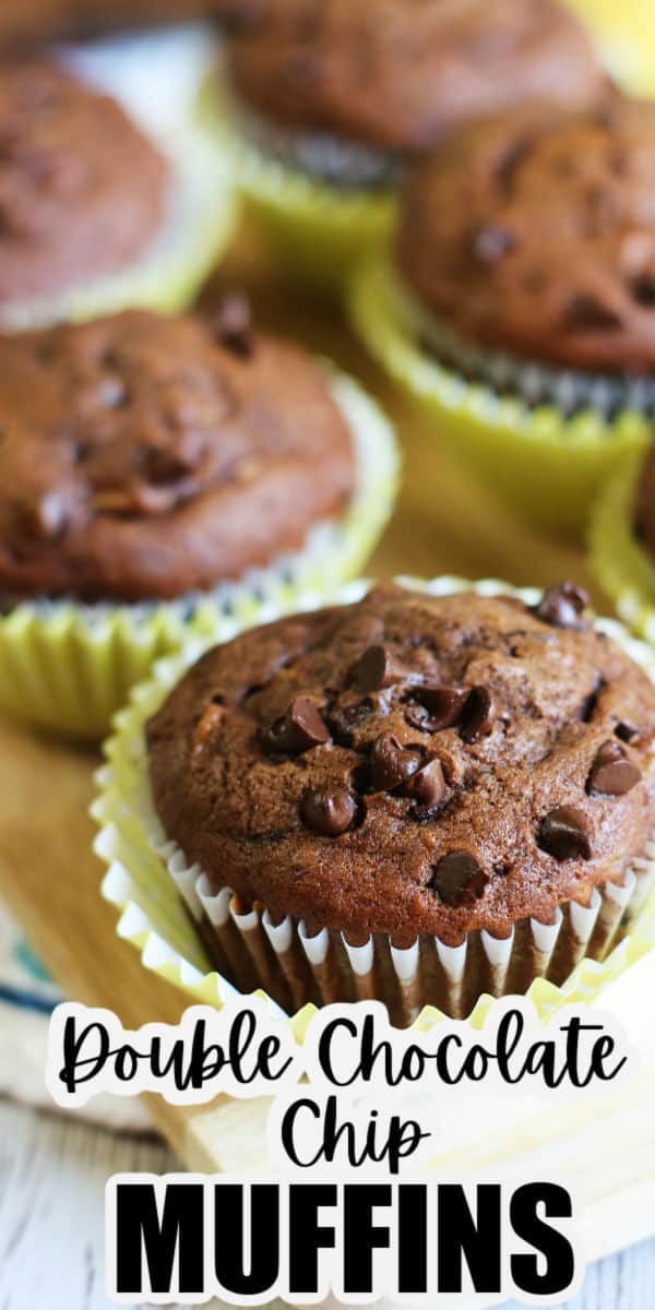 Double Chocolate Chip Bananna Muffins Recipe