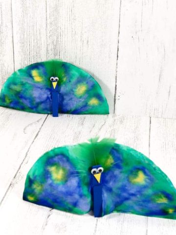 Peacock Craft