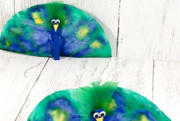 Peacock Craft