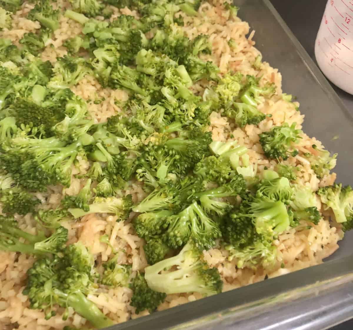 Easy Chicken Divan Casserole with Rice - Organized Island