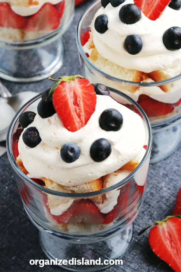 Fourth of July Individual Trifles