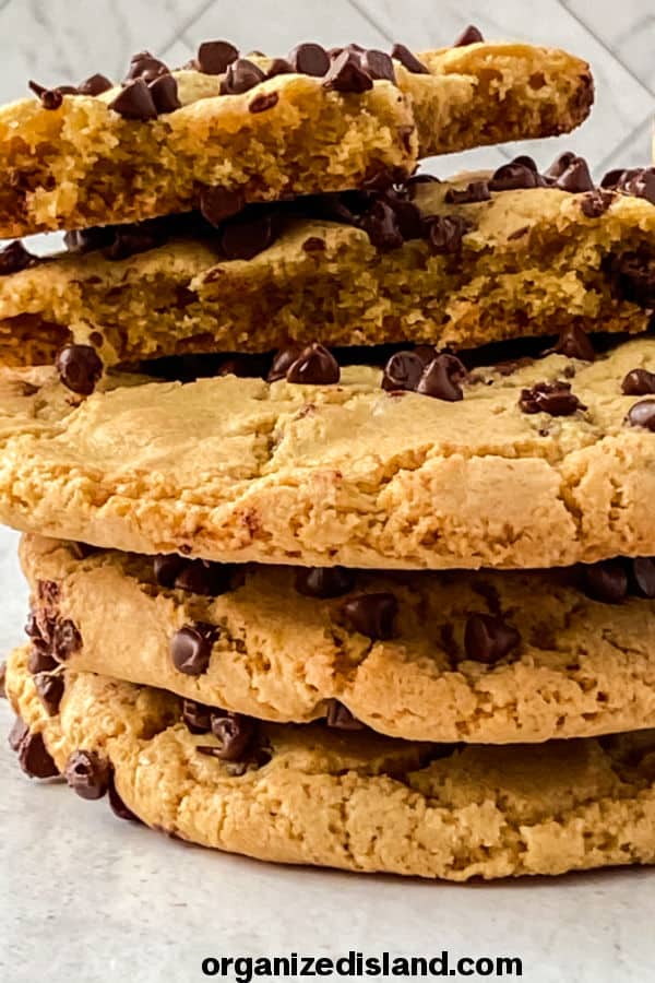 Monster Chocolate Chip Cookie