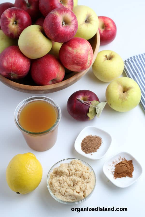 Homemade Applesauce Ingredients