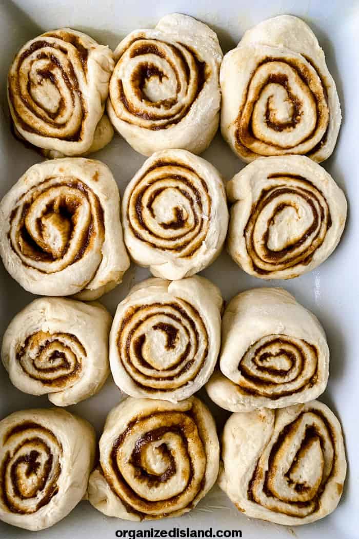 Slicing rolled dough for cinnamon rolls