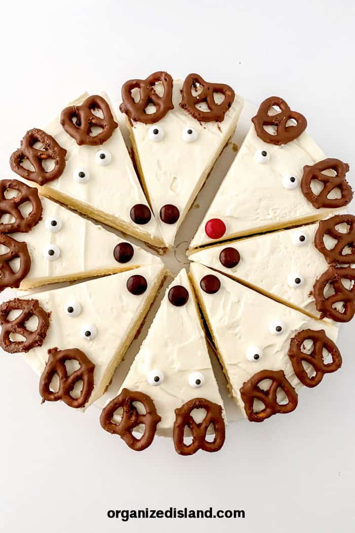 cheesecake with pretzels and eyes and noses.