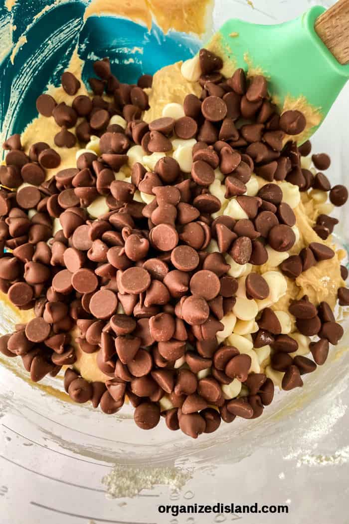 Cookie Cake dough with chocolate chips added
