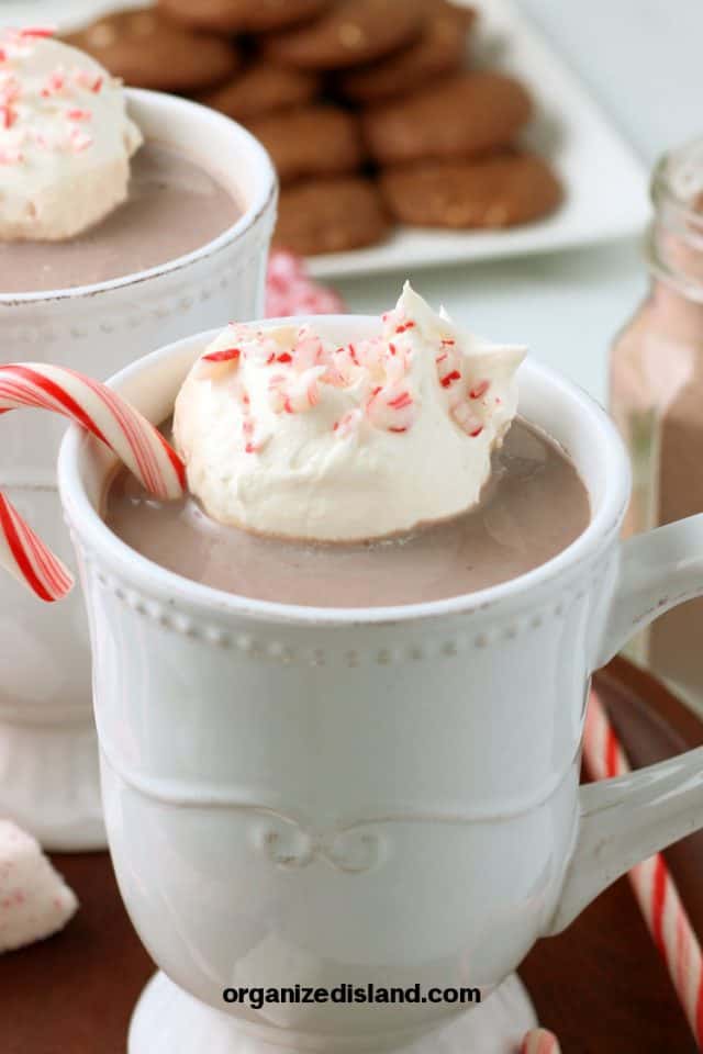 Easy Homemade Peppermint Hot Chocolate Recipe - Organized Island