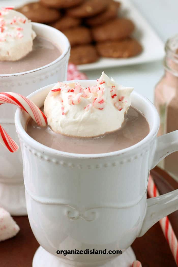 Peppermint Hot Chocolate in mugs with candy canes.