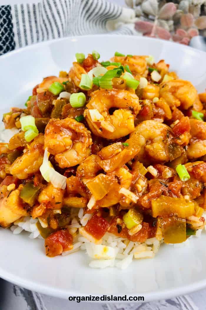 Shrimp Creole with Rice on plate.