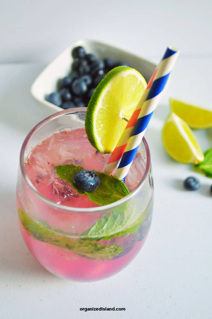 Blueberry Mojito with mint sprig.