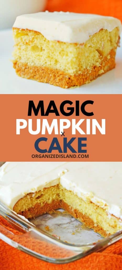 Magic Pumpkin Cake