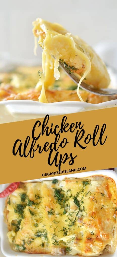 Chicken Alfredo Roll Ups