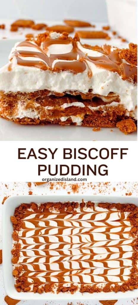 Easy Biscoff Pudding pin image.