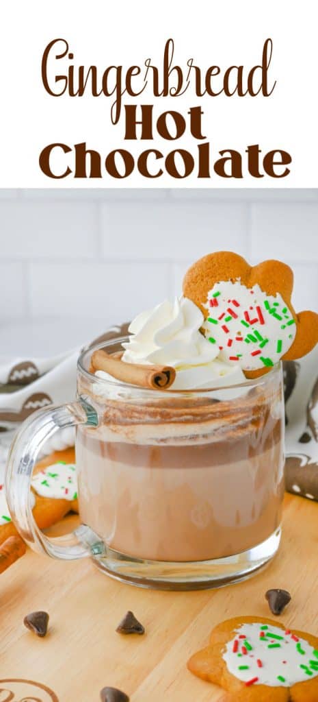 Gingerbread Hot Chocolate in cup.