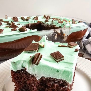 Mint Chocolate Cake with whipped topping on plate.