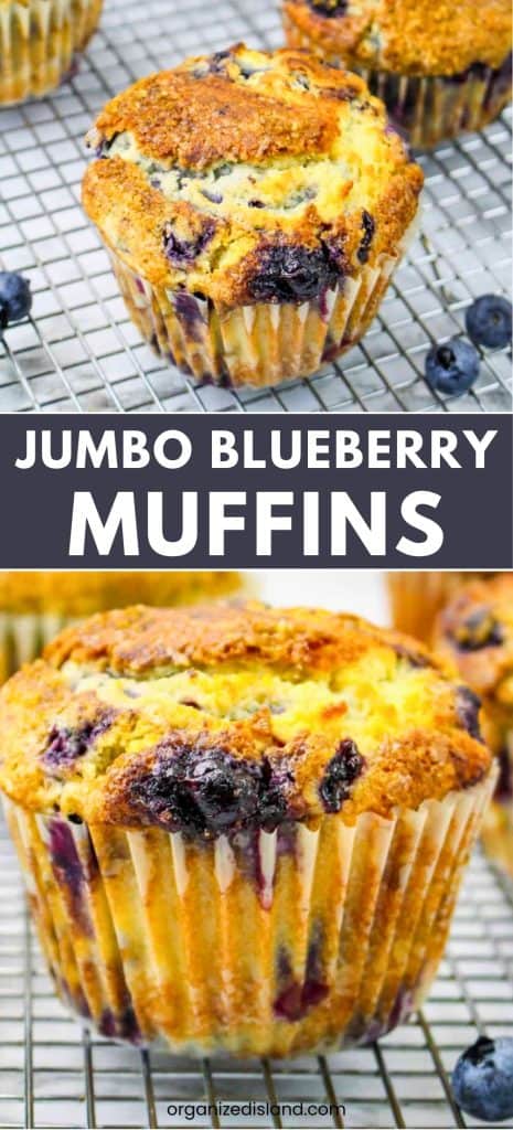 Jumbo Blueberry Muffins