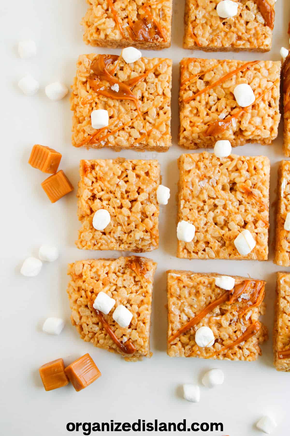 Salted Caramel Rice Krispie Treats (1)
