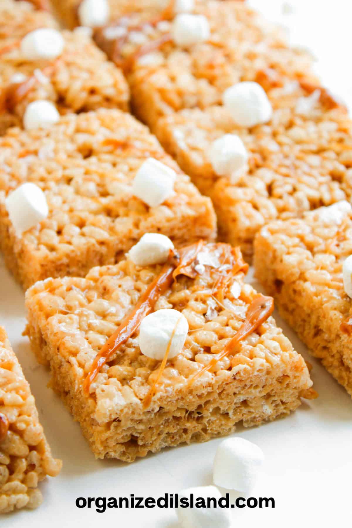 Salted Caramel Rice Krispie Treats Recipe