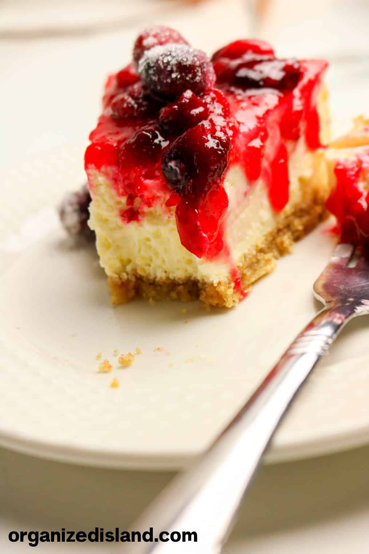 Easy Cranberry Orange Cheesecake