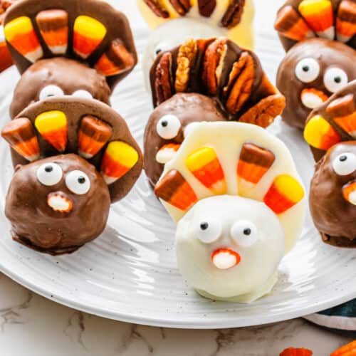 Easy Turkey Pumpkin Balls