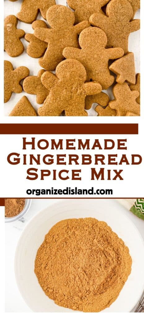 Homemade Gingerbread Spice Recipe